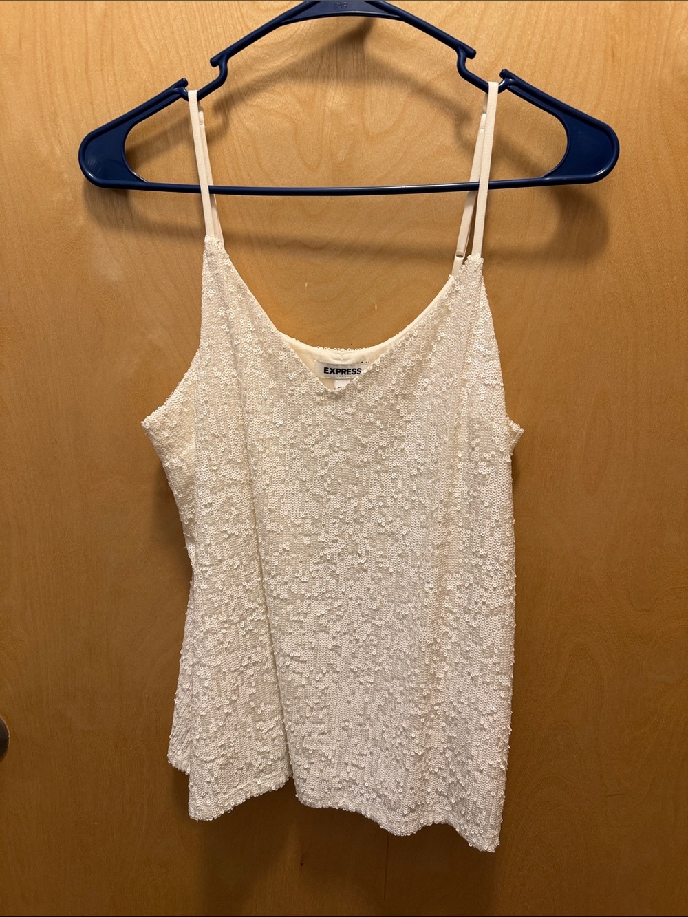 NWOT Express Sequin Tank